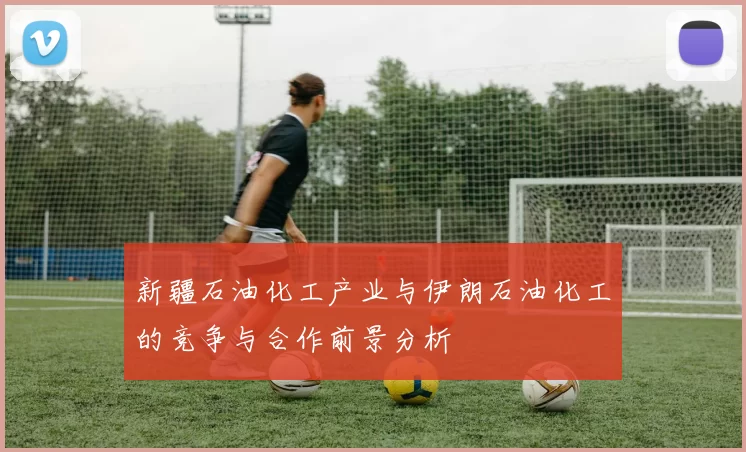 新疆石油化工产业与伊朗石油化工的竞争与合作前景分析