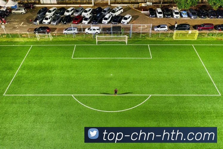 华体会平台生态图